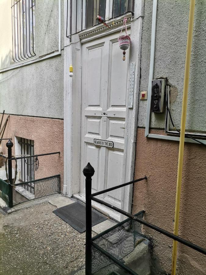 Flat In Historic Villa With Your Own Private Garden, Near City Park Βουδαπέστη Εξωτερικό φωτογραφία